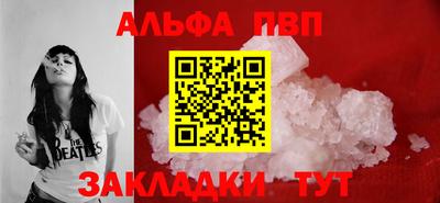 ешки Кингисепп