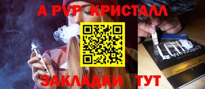 ешки Кингисепп