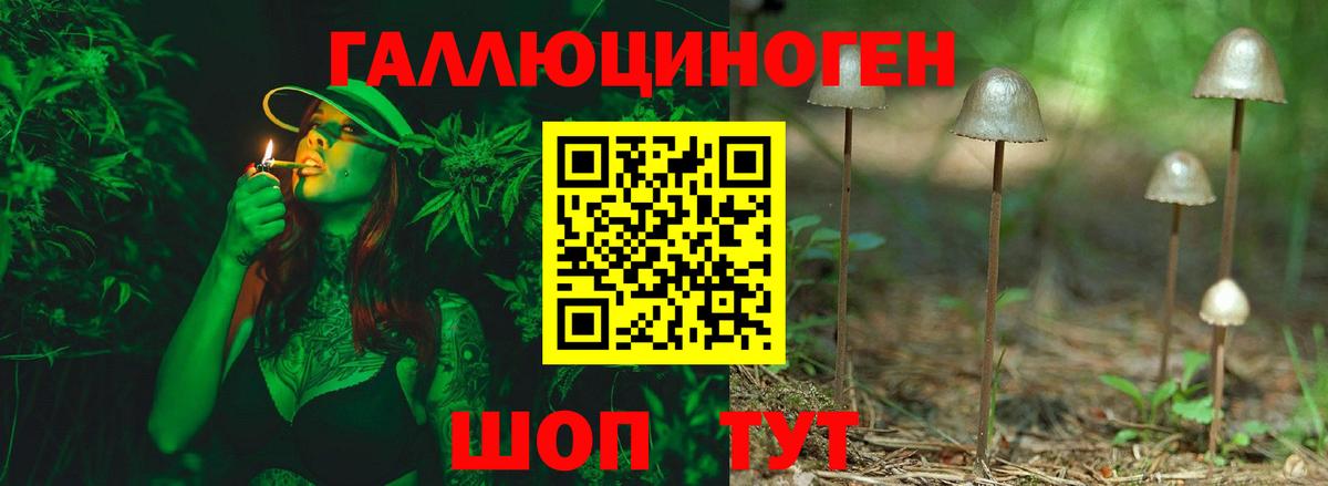 Псилоцибиновые грибы Psilocybe  Галлюциногенные грибы GOLDEN TEACHER  Вход с VPN  Димитровград 